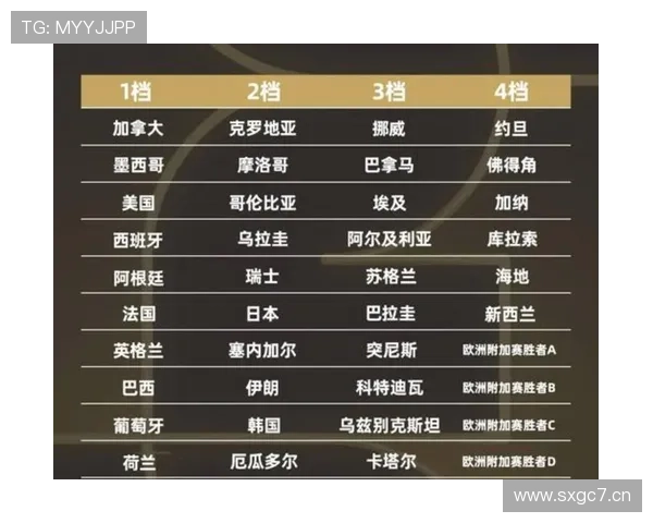 世界杯精彩对决现场直播热度排行榜全面解析与推荐 - 副本 (2)