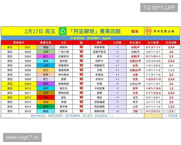 世界杯赛事最新动态深度解析及球队表现趋势观察报告 - 副本 - 副本 (2)